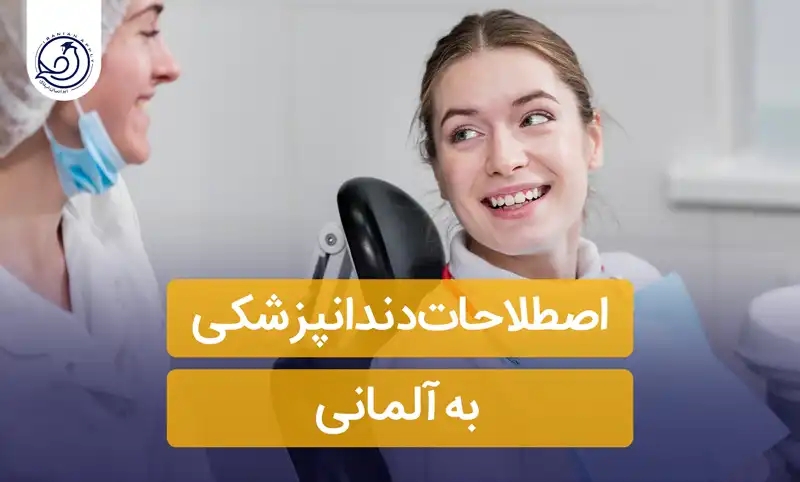 اصطلاحات دندانپزشکی به آلمانی📍( از صفر تا حرفه‌ای!)