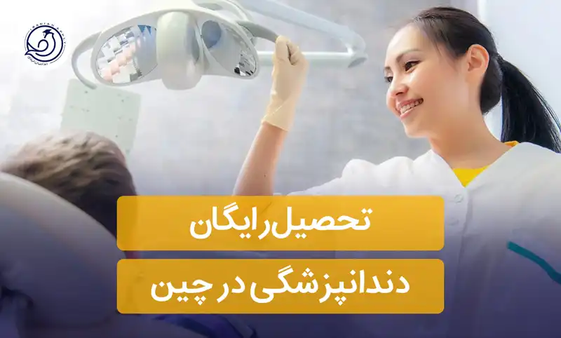 تحصیل رایگان دندانپزشکی در چین+👨‍🎓(بورسیه 2024-2025)